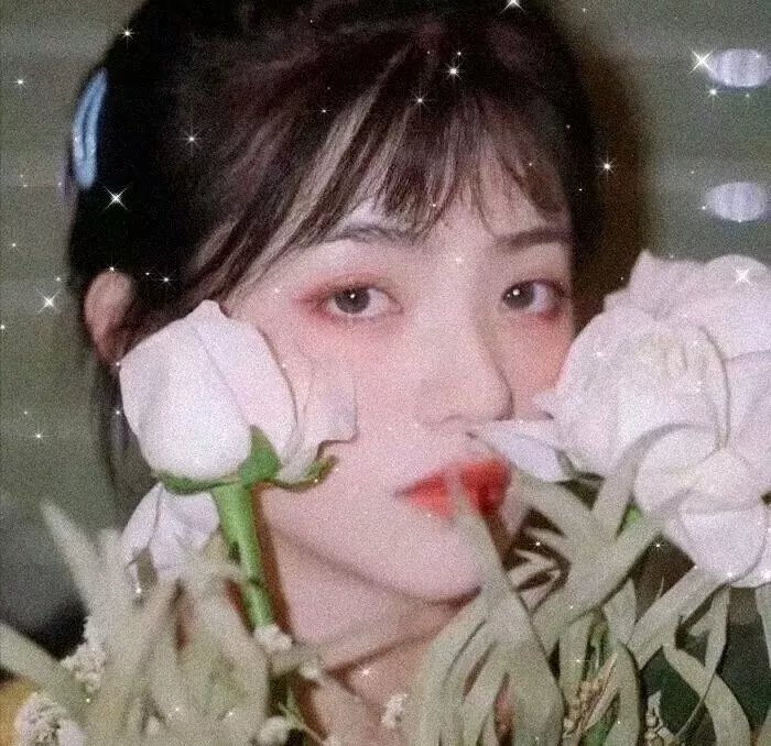 校园怪物